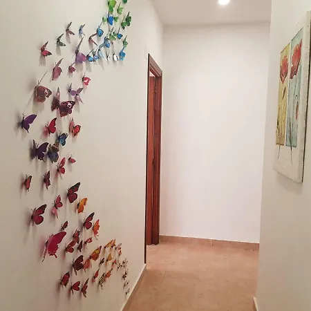 דירה Center בנידורם